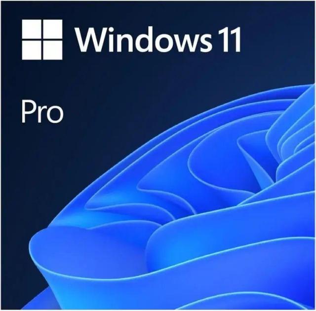 Операционна система Microsoft Windows Pro 11 64-bit English Intl USB RS