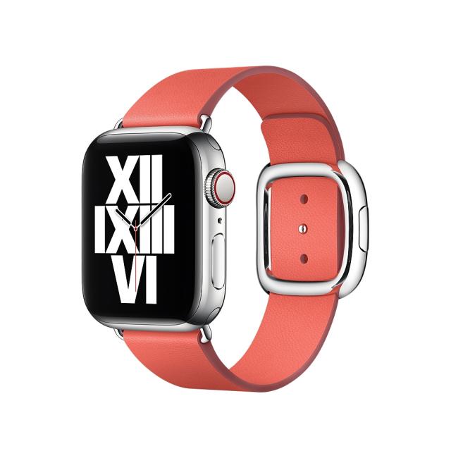 Каишка за часовник Apple Watch 40mm Band: Pink Citrus Modern Buckle - Medium (Seasonal Fall 2020)