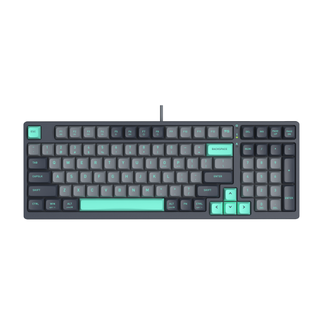 Клавиатура A4tech Fstyler FGS300 Panda Rock Механична TKL