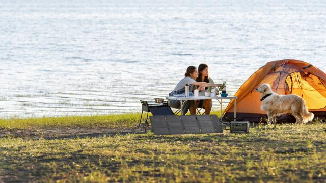 Соларен панел, Ecoflow 600W Portable Solar Panel (Type-C)
