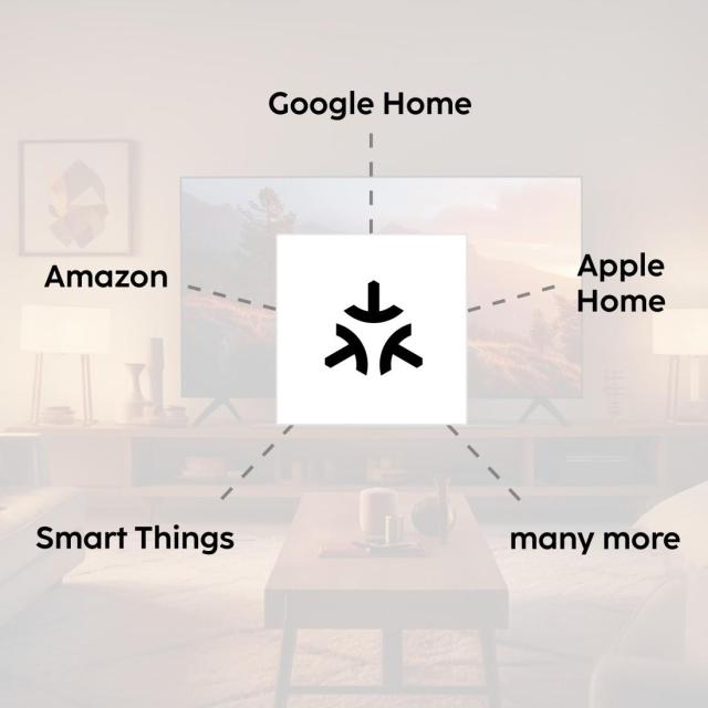 HAMA Смарт Хъб, Matter, Zigbee, гласов контрол