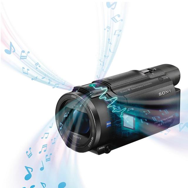 Цифрова видеокамера Sony FDR-AX53, black