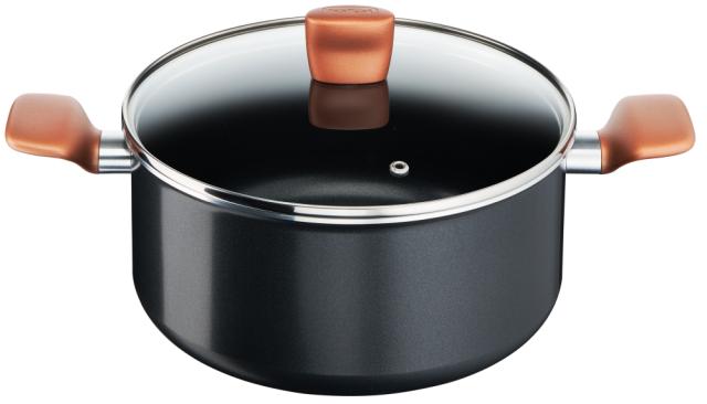 Тенджера Tefal B2554602, STEW POT EXPRESS 24CM+LID, Stew Pot + lid 24 cm