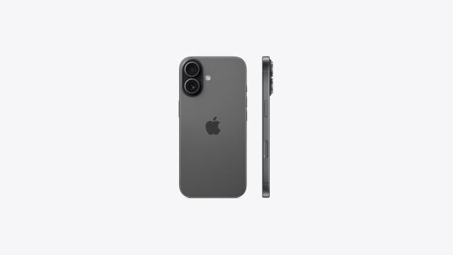 Смартфон Apple iPhone 17 Black, 6.3" (16cm) Super Retina XDR OLED 120Hz дисплей, Apple A19 6C (2x 4.2 / 4x 2.5 GHz), 8GB RAM, 256GB Flash памет, 48 + 48 & 18 Mpix камери, iOS, 177g + ПОДАРЪК - 1 x Ecoflow Power Bank - RAPID 5K - 5000mAh
