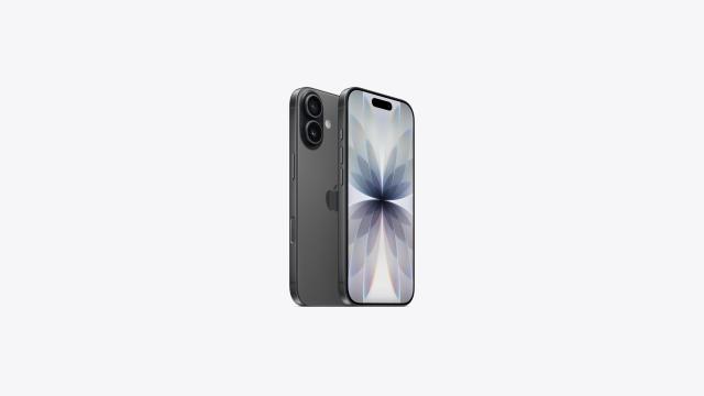 Смартфон Apple iPhone 17 Black, 6.3" (16cm) Super Retina XDR OLED 120Hz дисплей, Apple A19 6C (2x 4.2 / 4x 2.5 GHz), 8GB RAM, 256GB Flash памет, 48 + 48 & 18 Mpix камери, iOS, 177g + ПОДАРЪК - 1 x Ecoflow Power Bank - RAPID 5K - 5000mAh