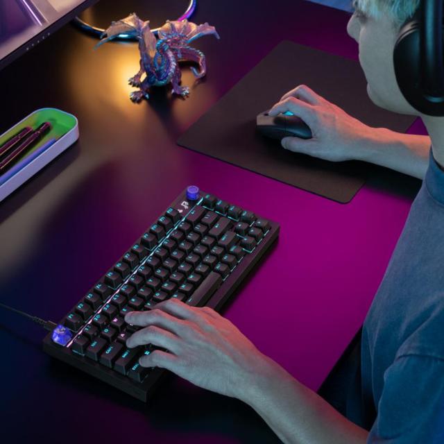 Геймърска механична клавиатура Logitech G316 X 75 Black RGB, Hot-Swappable Tactile Switch, USB