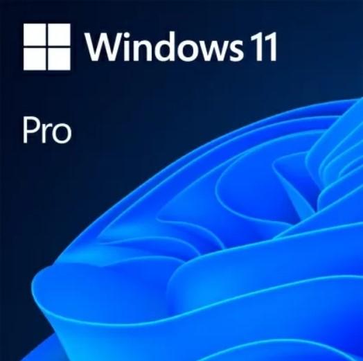 Програмен продукт с лицензен стикер Microsoft Windows 11 Pro 64Bit English 1pk DSP OEI DVD