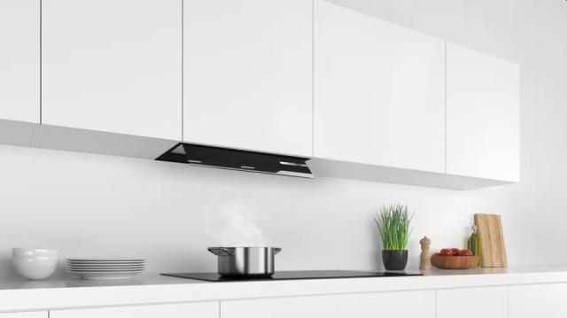 Аспиратор Bosch DBB67AM60, SER6, Integrated box hood, 60 cm,  B, black, LED, max 460 m3/h, 63 dB, clear glass, black print