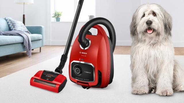 Прахосмукачка Bosch BGL6PET1 Series 6, Vacuum cleaner with bag, 4l, ProAnimal, AirTurbo Plus brush, Red