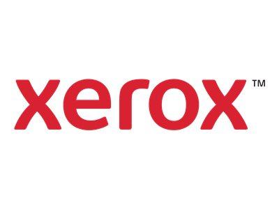 Консуматив Toner Yellow Standard Capacity for Xerox VersaLink C500, VersaLink C505, DMO,  2, 106R03879